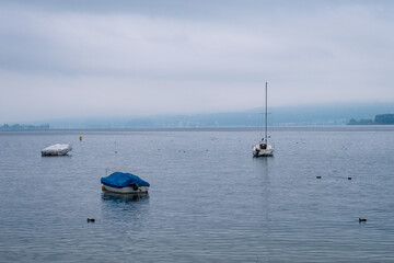 Fototapeta na wymiar Boote auf dem Bodensee bei Radolfzell im Nebel 
