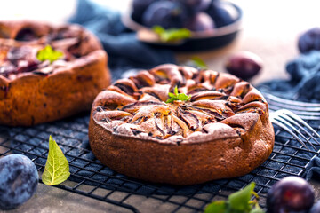 close-up view of delicious sweet fruit pies with organic plums