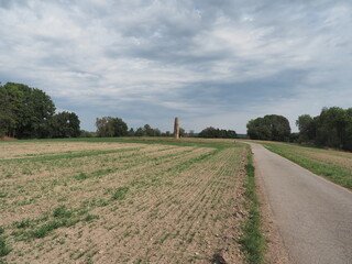 Fototapeta premium Der Gollenstein – Menhir - Blieskastel 