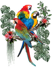 Polygonal illustration of macaw birds.