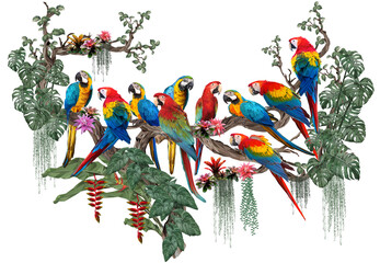 Polygonal illustration of macaw birds. © NPD stock