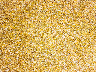 yellow lentil raw uncooked beans masoor dal close up. background texture