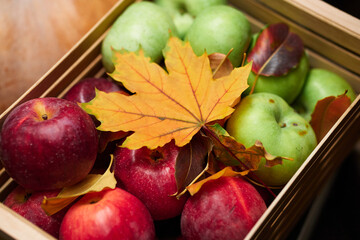 autumn still life in rustic style as a background - leaves, vegetables and fruits, nuts and other natural food ingredients on wooden boards