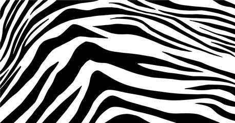 Zebra print, animal skin, line background. Poster, banner. Black and white artwork.