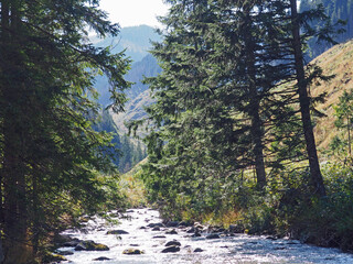 Scenic views of footpaths in Tatra mountains