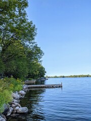 lake in the forest