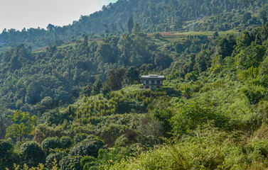 Bhutan, farmhouse in green environment 