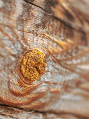 Knot on pine log of house with intricate lines and caked resin, that  in lumps from heat, at dusk. Structure of  timber is emphasized by melted resin and partially charred wood. Narrow focus.