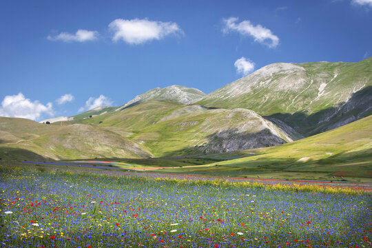 Castelluccio of norcia