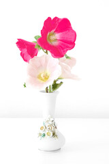 Beautiful lavatera olbia Rosea flowers in a retro ceramic vase on a white table.