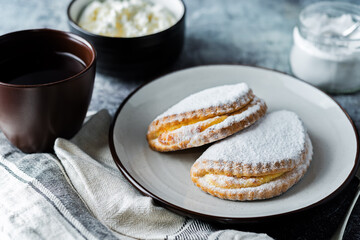 Cottage cheese cookies sochnik with powdered sugar on a plate
