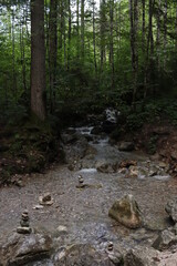 wasserfall fluss in einem wald mit steinen