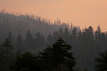 Photo sur Plexiglas Forêt dans le brouillard Very hazy and smokey view of pine trees on a mountain near sunset, during California's wildfire season