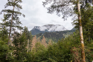 Aussicht auf einen Berg im Wald mit bewölktem himmel