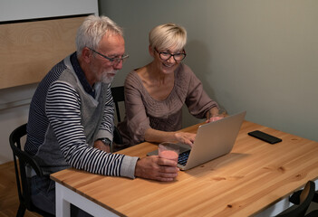 Senior couple using laptop stock photo