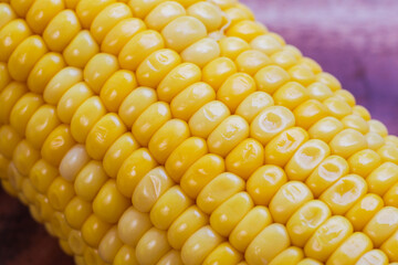 yellow corn stalk close up photo in wooden background