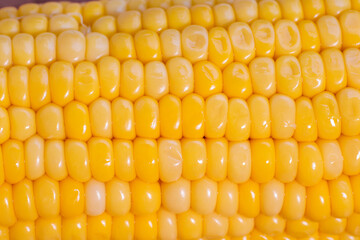 yellow corn stalk close up photo in wooden background