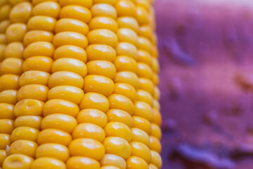 yellow corn stalk close up photo in wooden background