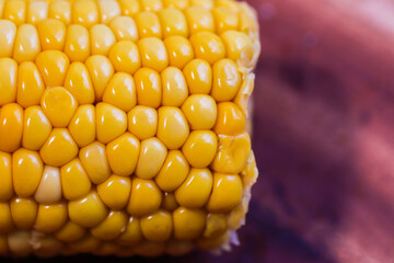 yellow corn stalk close up photo in wooden background
