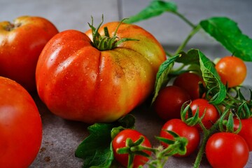 Homegrown tomatoes still life, selective focus