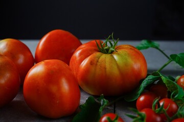 Homegrown tomatoes still life, selective focus