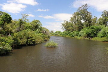 San Carlos stream bypasses the municipal park