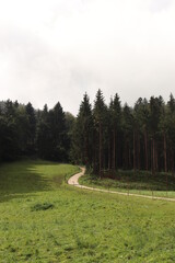 wiese mit wanderweg am rande eines Waldes