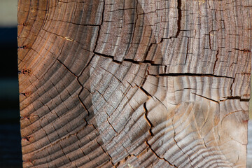 Fototapeta premium Weathered wooden post closeup, cracked, with saw blade marks showing 