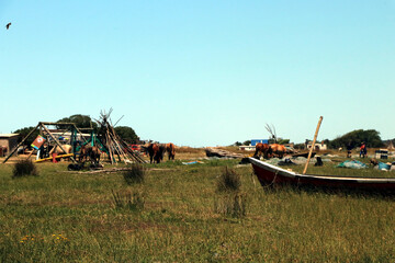 Riparian vegetation around the lagoon
