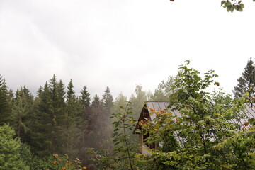 Hütte am Waldrand mit vielen Bäumen