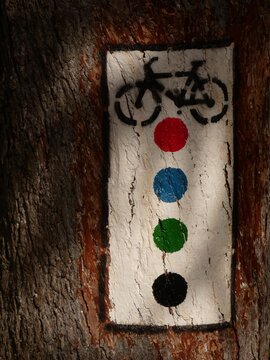 Sign painted on the tree trunk indicating the start of four bike trails, Czaplinek, Poland