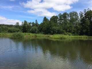 lake in the forest