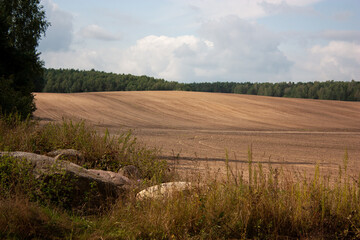 Autumn landscape. A plowed field, blue sky, forest and large stones in the long grass in the foreground.