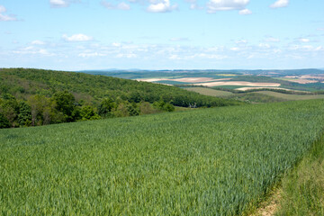 Fototapeta premium View on Hungarian landscape
