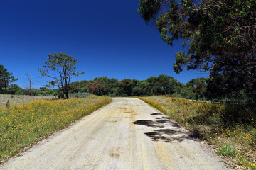 Dirt road is characteristic of environmental preservation areas