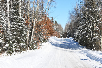 Road through Snowy Woods