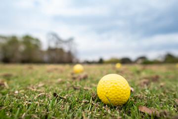Golf club and lawn ball