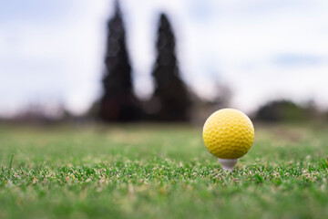 Golf club and lawn ball