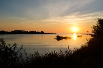 Orange sun rising on a shore coastal landscape with wild plants silhouette