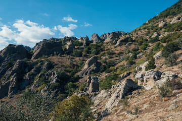 Ridge of brown rocks covered with greenery against a blue sky