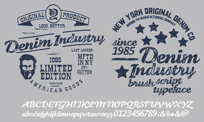 Handwritten calligraphic alphabet for t-shirt or apparel.