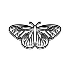Butterfly as a construction. Illustration of a butterfly as a construction on a white background