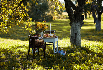 autumn thanksgiving background.picnic in the autumn  garden.vintage table,chairs,bike 