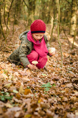 atmosphere of autumn with bright vivid autumnal green, orange and yellow colors and foliage and mushrooms