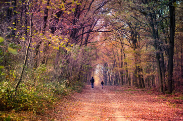 man and girl child walking together in autumnal colorful nature in rural path among trees in forest