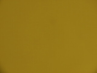 Beautiful background of mustard color close-up.