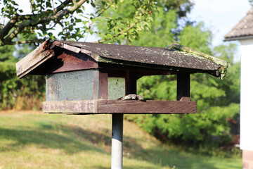 A very old and broken bird feeder.