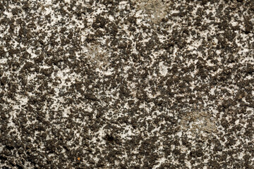 close-up of the texture of the stone by the lake.
