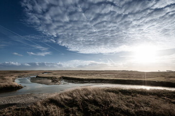 Panoramic view of salt marshes (salt meadows) in Sankt Peter-Ording.