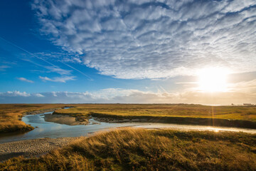 Panoramic view of salt marshes (salt meadows) in Sankt Peter-Ording.